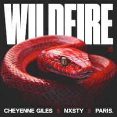 Wildfire