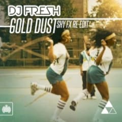 Gold Dust (Shy FX re‐edit)