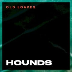 Hounds