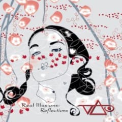 Real Illusions: Reflections