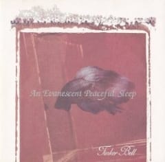An Evanescent Peaceful Sleep