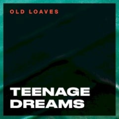 Teenage Dreams