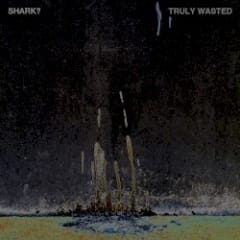 Truly Wasted EP