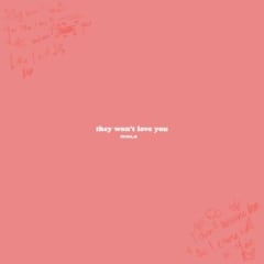 They Won't Love You