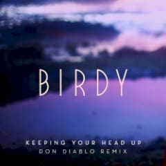 Keeping Your Head Up (Don Diablo Remix)