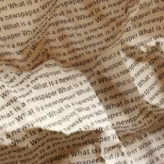 Newspaper