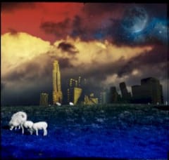 The Land of Holy Joy