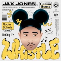Whistle (Robin Schulz remix)
