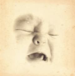 Welcome to the Infant Freebase