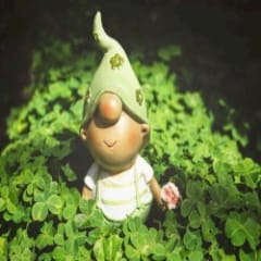 Turn Over A New Leaf