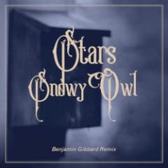 Snowy Owl (Benjamin Gibbard remix)