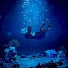 INTO THE DEEP