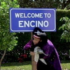 Back in Encino