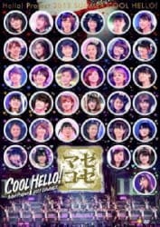 Hello!Project 2013 SUMMER COOL HELLO! 〜ソレゾーレ/マゼコーゼ!〜