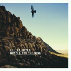 Muscle for the Wing