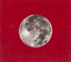 Red Letter Year