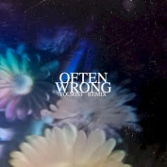 Often Wrong (Tourist Remix)