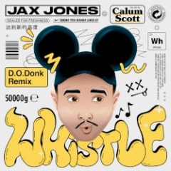 Whistle (D.O.Donk remix)