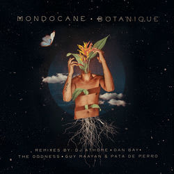 Mondocane