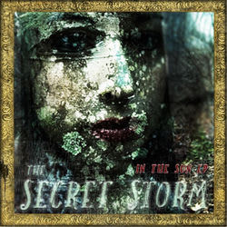The Secret Storm