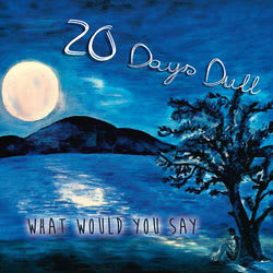 20 Days Dull