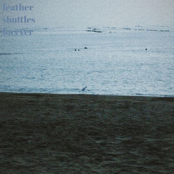 feather shuttles forever