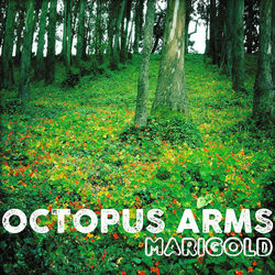 Octopus Arms