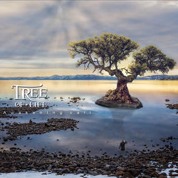 The Tree Of Life