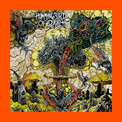 Hummingbird of Death