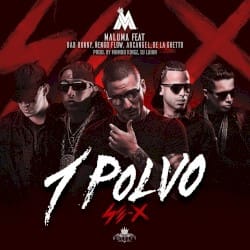 1 polvo