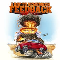 Feedback