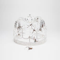 you should see me in a crown