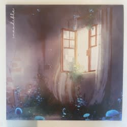 Inaudible / Invisible