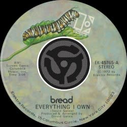 Everything I Own / I Don’t Love You (45 version)