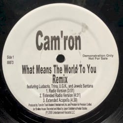 What Means the World to You (remix)