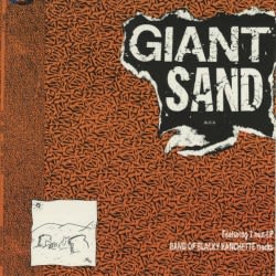 Giant Sandwich