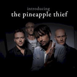 Introducing The Pineapple Thief