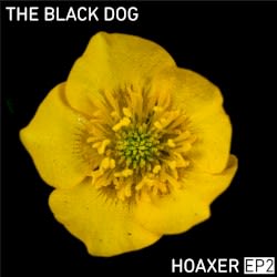 Hoaxer EP2