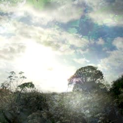 Spring Light
