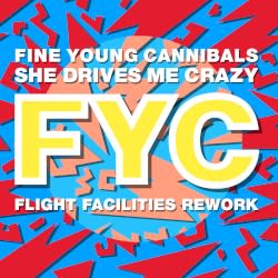 She Drives Me Crazy (Flight Facilities rework)