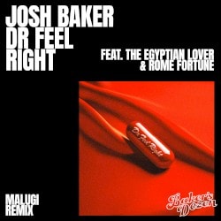 Dr Feel Right (Malugi remix)