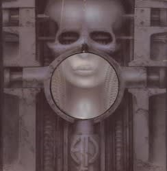 Brain Salad Surgery