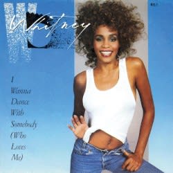 I Wanna Dance With Somebody (Who Loves Me)