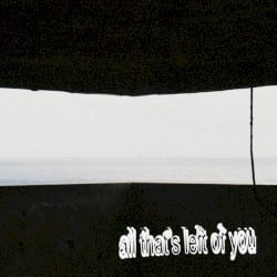 All That's Left of You