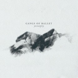 Yes/No/Grey