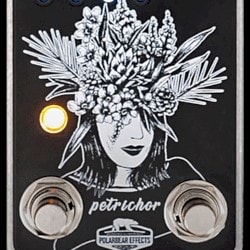 Petrichor