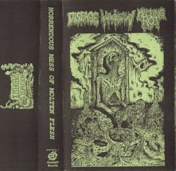 Horrendous Mess of Molten Flesh