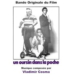 Un oursin dans la poche