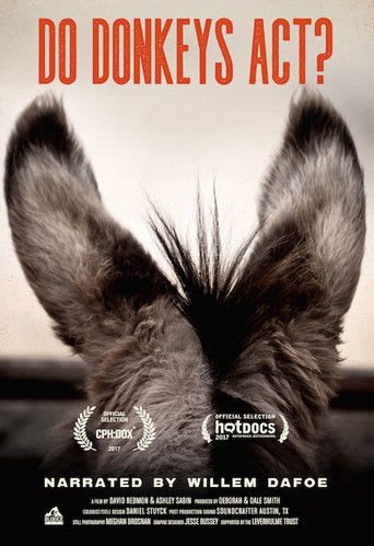 Do Donkeys Act?
