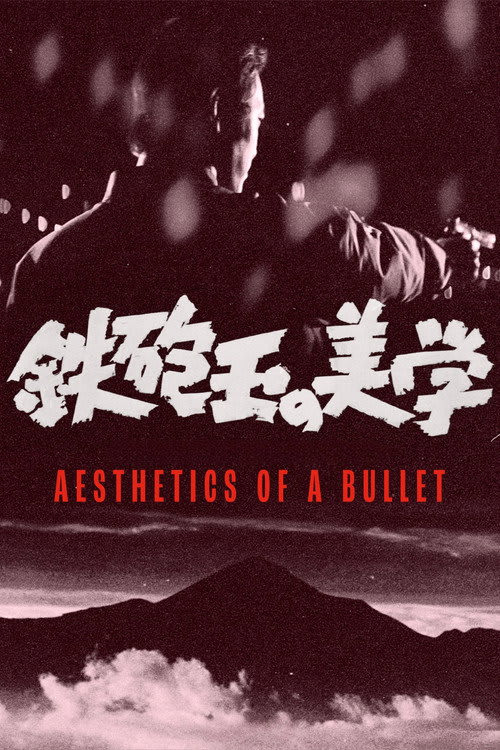 Aesthetics of a Bullet